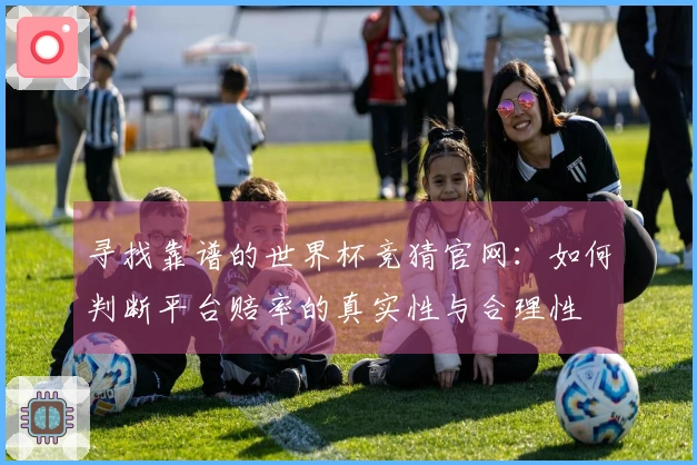寻找靠谱的世界杯竞猜官网：如何判断平台赔率的真实性与合理性