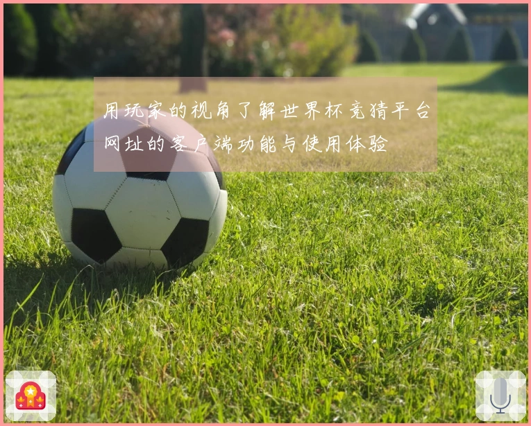用玩家的视角了解世界杯竞猜平台网址的客户端功能与使用体验