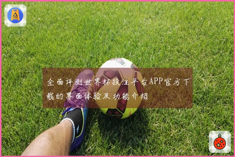 全面评测世界杯投注平台APP官方下载的界面体验及功能介绍