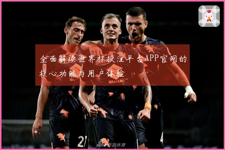 全面解读世界杯投注平台APP官网的核心功能与用户体验