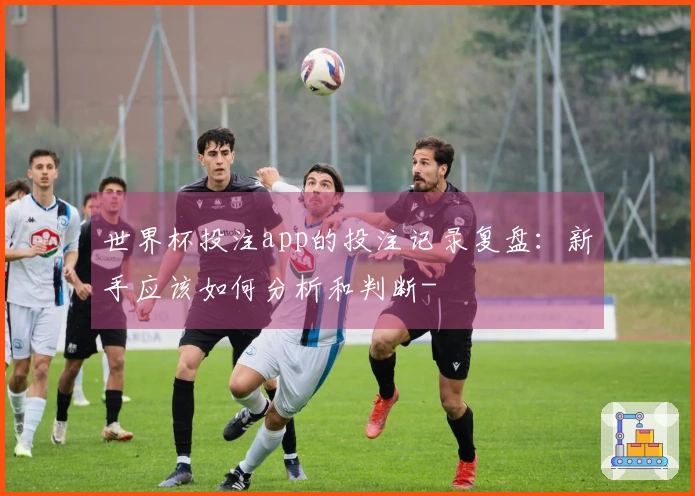 世界杯投注app的投注记录复盘：新手应该如何分析和判断-