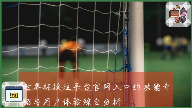 世界杯投注平台官网入口的功能介绍与用户体验综合分析
