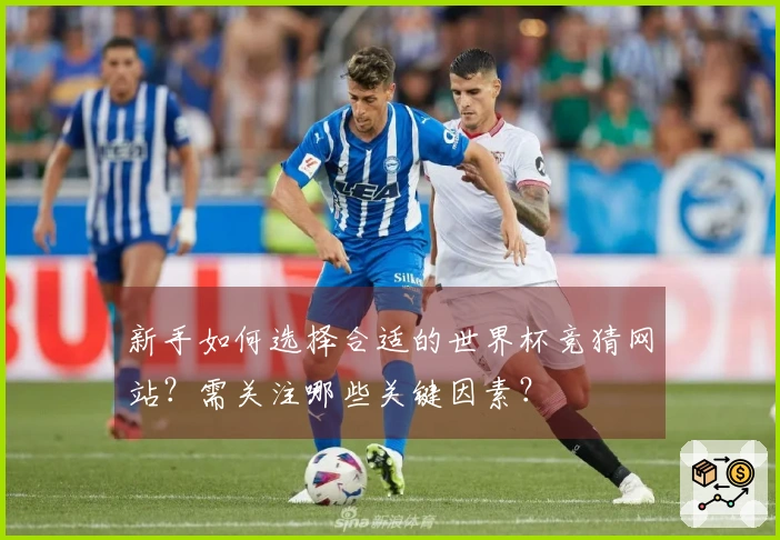 新手如何选择合适的世界杯竞猜网站？需关注哪些关键因素？