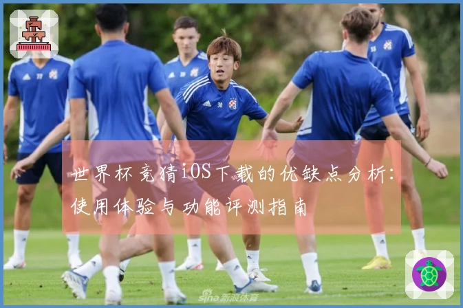 世界杯竞猜iOS下载的优缺点分析:使用体验与功能评测指南