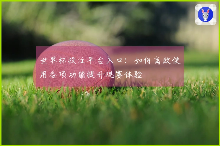 世界杯投注平台入口：如何高效使用各项功能提升观赛体验