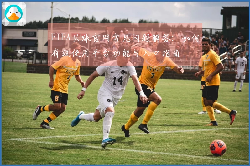 FIFA买球官网常见问题解答：如何有效使用平台功能与入口指南