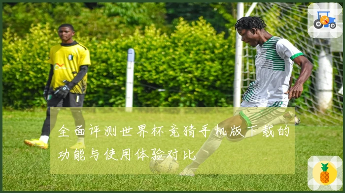 全面评测世界杯竞猜手机版下载的功能与使用体验对比