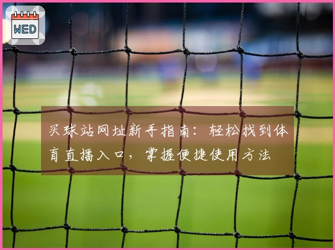 买球站网址新手指南：轻松找到体育直播入口，掌握便捷使用方法