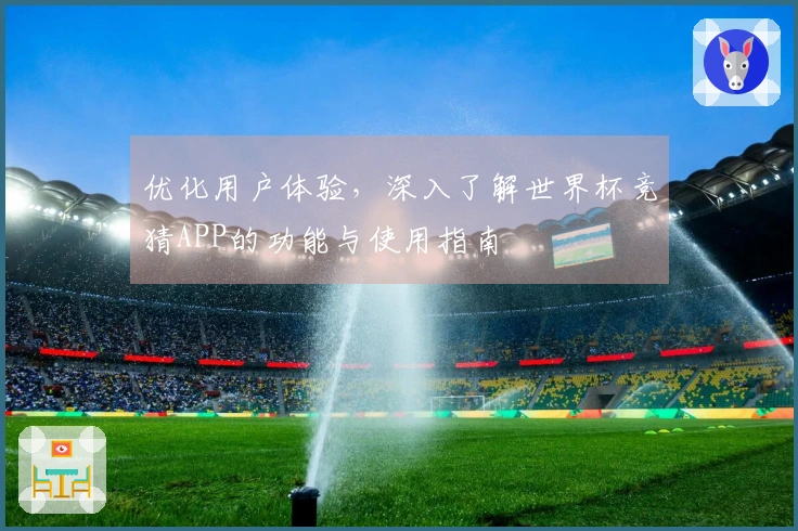 优化用户体验，深入了解世界杯竞猜APP的功能与使用指南