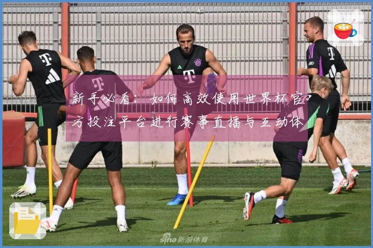 新手必看:如何高效使用世界杯官方投注平台进行赛事直播与互动体验