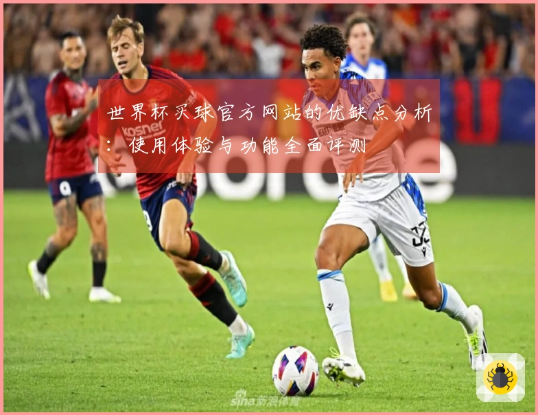 世界杯买球官方网站的优缺点分析：使用体验与功能全面评测