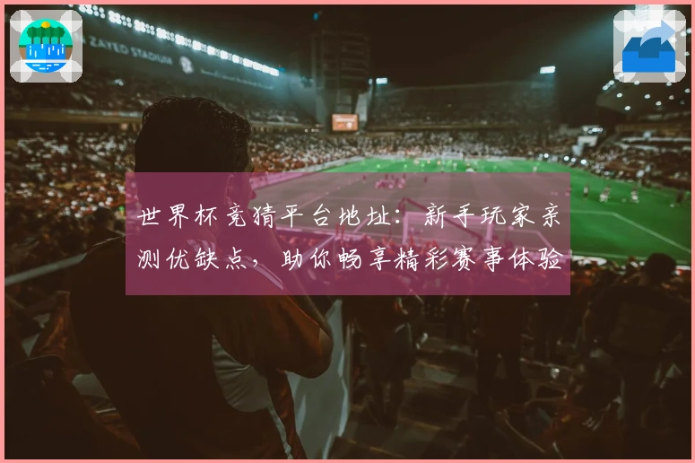 世界杯竞猜平台地址：新手玩家亲测优缺点，助你畅享精彩赛事体验