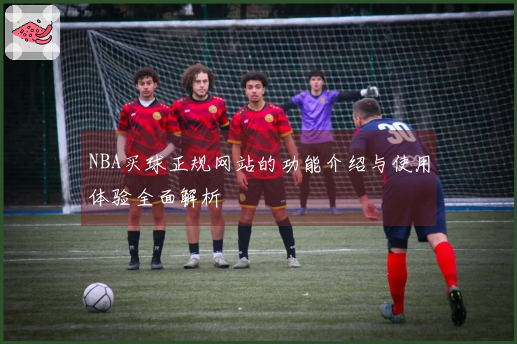NBA买球正规网站的功能介绍与使用体验全面解析