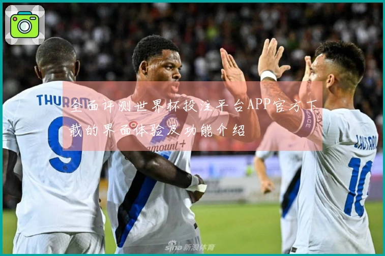 全面评测世界杯投注平台APP官方下载的界面体验及功能介绍