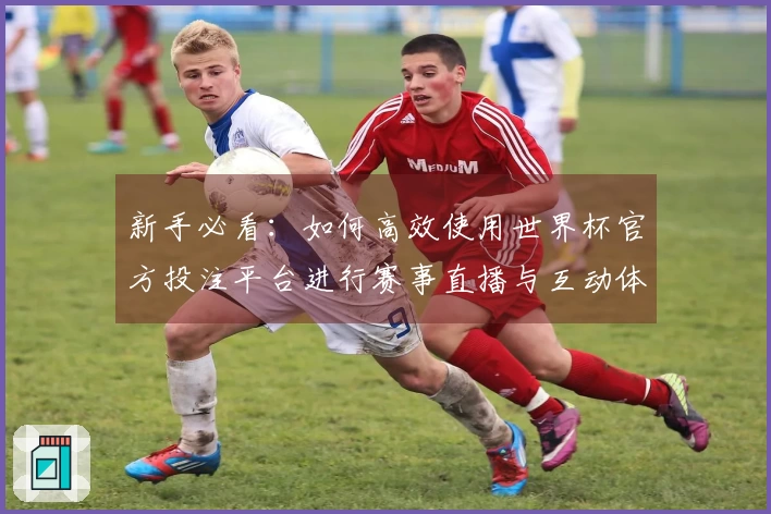 新手必看：如何高效使用世界杯官方投注平台进行赛事直播与互动体验