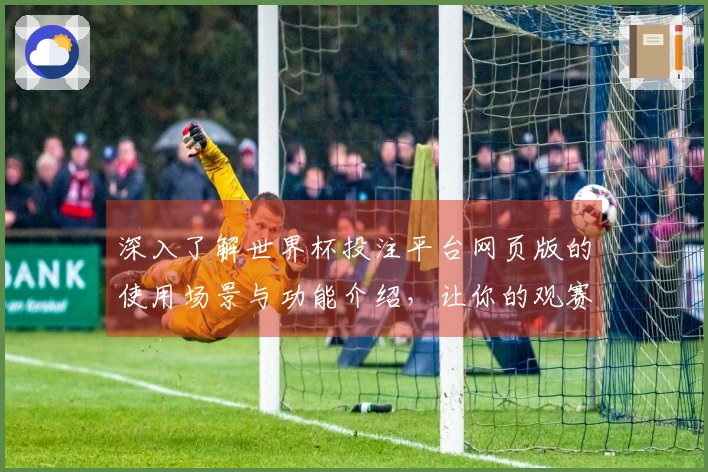 深入了解世界杯投注平台网页版的使用场景与功能介绍，让你的观赛体验更加精彩